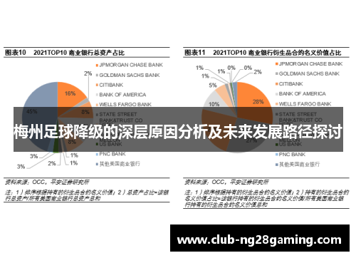 梅州足球降级的深层原因分析及未来发展路径探讨