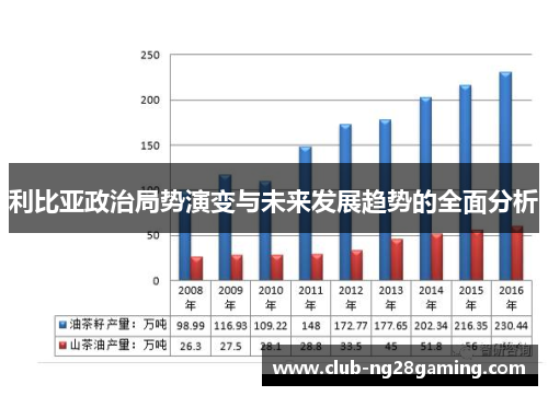 利比亚政治局势演变与未来发展趋势的全面分析