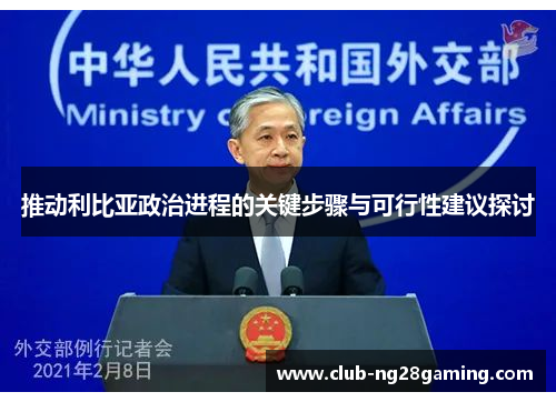 推动利比亚政治进程的关键步骤与可行性建议探讨