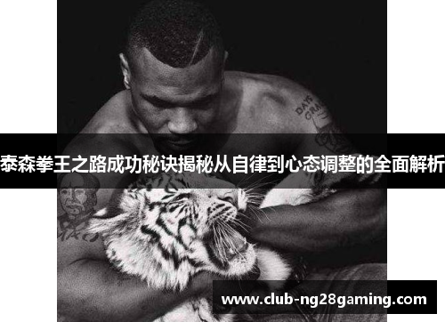 泰森拳王之路成功秘诀揭秘从自律到心态调整的全面解析