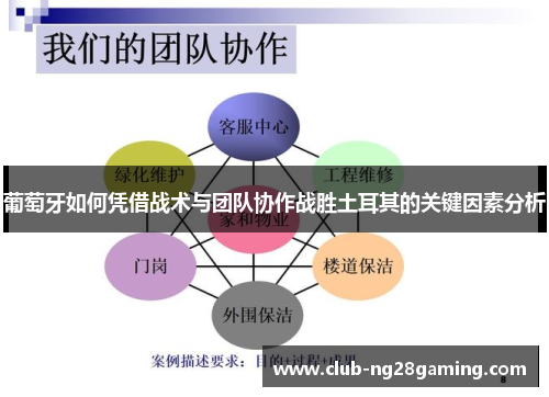 葡萄牙如何凭借战术与团队协作战胜土耳其的关键因素分析