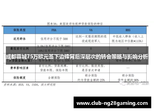 成都蓉城75万欧元签下边锋背后深层次的转会策略与影响分析