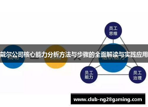 戴尔公司核心能力分析方法与步骤的全面解读与实践应用 戴尔公司核心能力分析方法与步骤的全面解读与实践应用